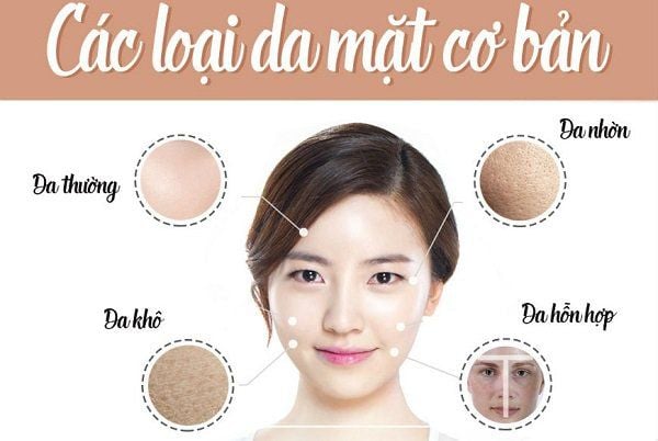 Các Loại Da Phổ Biến Và Cách Nhận Biết